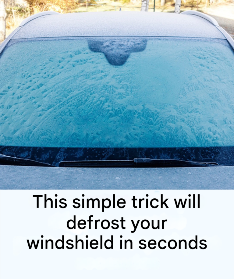 Quick tip to defrost your car window in seconds