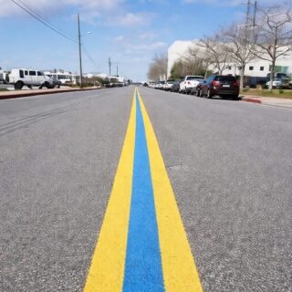 Noticed a Blue Line on the Road? Here is What It Signifies! – Story Of The Day!