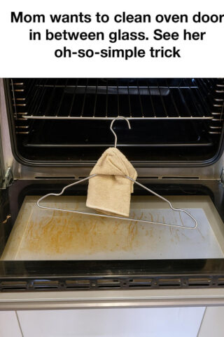 Mom Wants to Clean the Oven Door In Between the Glass — See Her Oh-So-Simple Trick