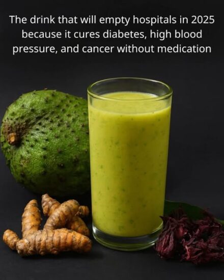 A Natural Wellness Tonic for 2025: Exploring a Soursop & Hibiscus Blend