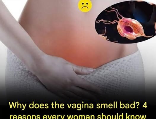 Why Can the Vagina Sometimes Smell Bad?