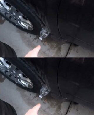 If You See a Plastic Bottle on Your Tire, Pay Close Attention