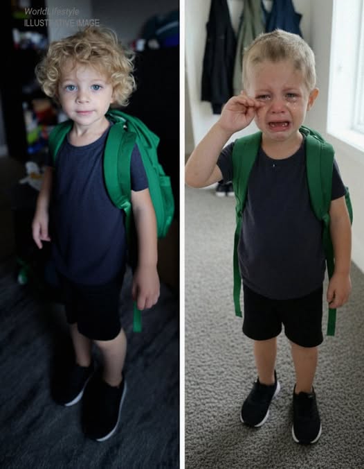 My MIL Snuck My 5-Year-Old Son Out of Kindergarten to Shave His Golden Curls – What My Husband Handed Her at Sunday Dinner Made Her Jaw Drop